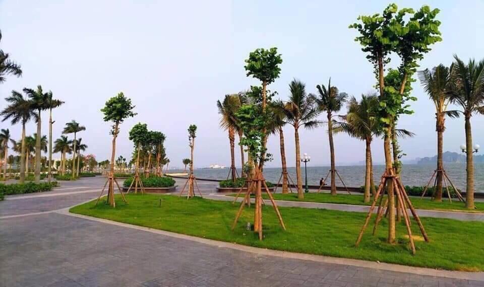 Sonny Homestay 2 -Can Lien Ke 5Pn -Khu Greenbayvillage - Duong Hoang Quoc Viet -Trung Tam Kdl Bai Chay Hạ Long-öböl Kültér fotó